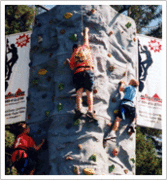 Rock Wall-Standard Rock Wall-Standard