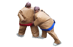 Sumo Sumo